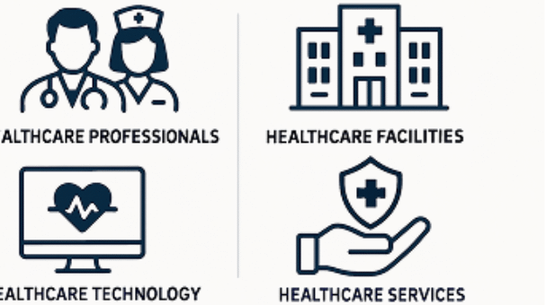 Healthcare Service Delivery infographic